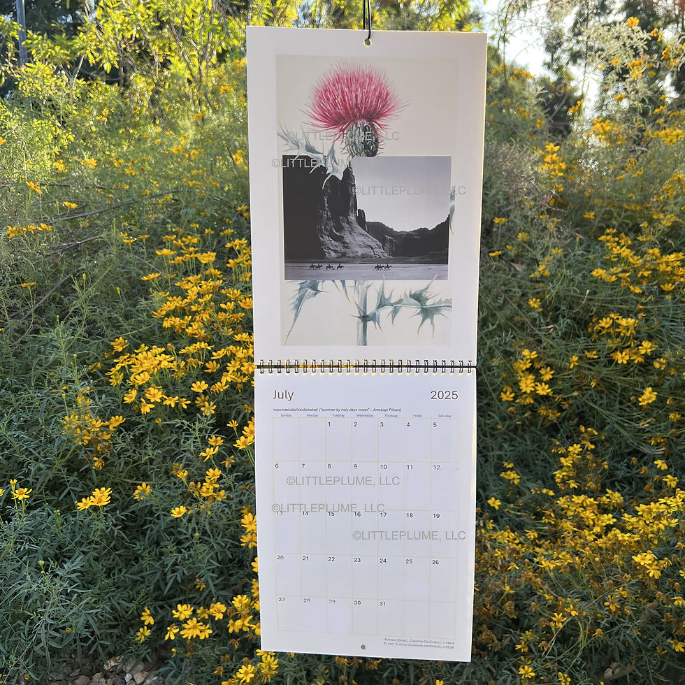 Thumbnail: 2025 Littleplume Calendar