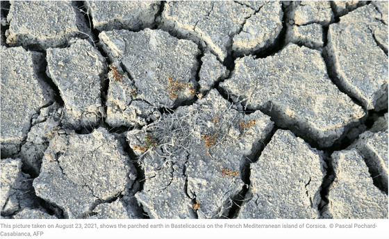 France’s unprecedented drought shows climate change is ‘spiralling out of control’