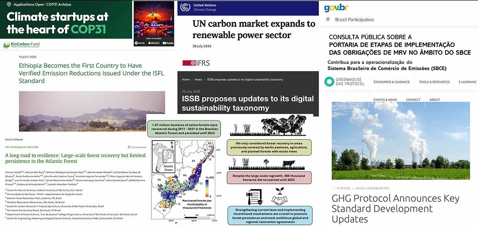 Mosaico Carbon Credit Markets Week 31 2026