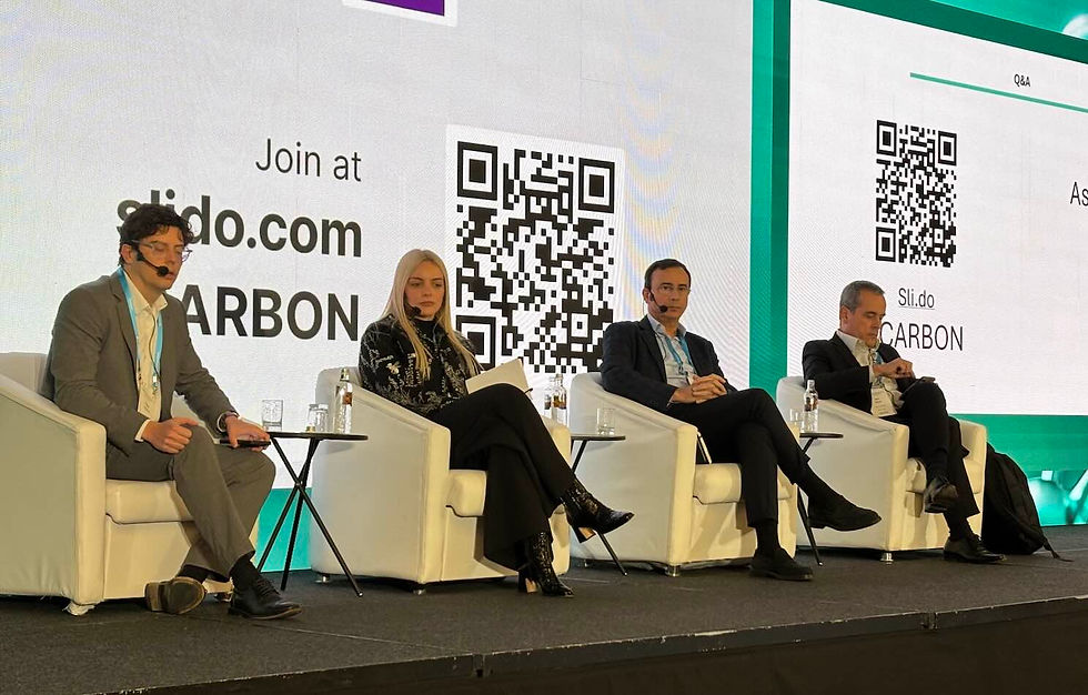 Painel: Política de Carbono em Movimento - O Papel do Brasil na Construção do Futuro do Mercado de Carbono na América Latina