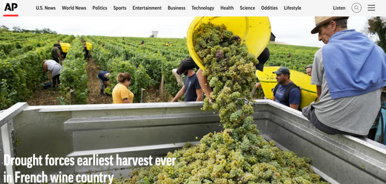 Vinhos franceses e mudanças climáticas