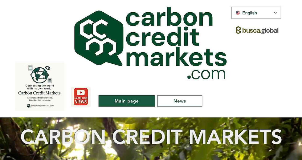 2025 Year End Review