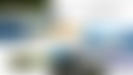 5ª semana CCM 2026. Offtakes ganham mercado, REDD+ e finanças da natureza avançam em diversos países, climatologista é premiado, Verra se estabiliza financeiramente, princípios de governança climática