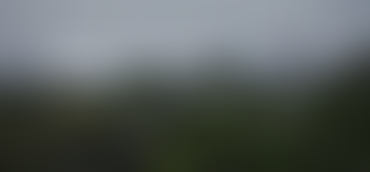 Estudos de Enriquecimento de CO2 ao Ar Livre: Amazônia e Alemanha