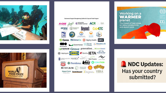 33ª semana Carbon Credit Markets 2025. Verra e S&P lançam registro; 🇬🇧🇺🇸🇨🇳 descarbonizam; 🏆🇧🇷 bioinsumos premiados; 🚨 NDCs atrasadas; 🛠️ calor ameaça trabalho; 🌊 corais e sustentabilidade.
