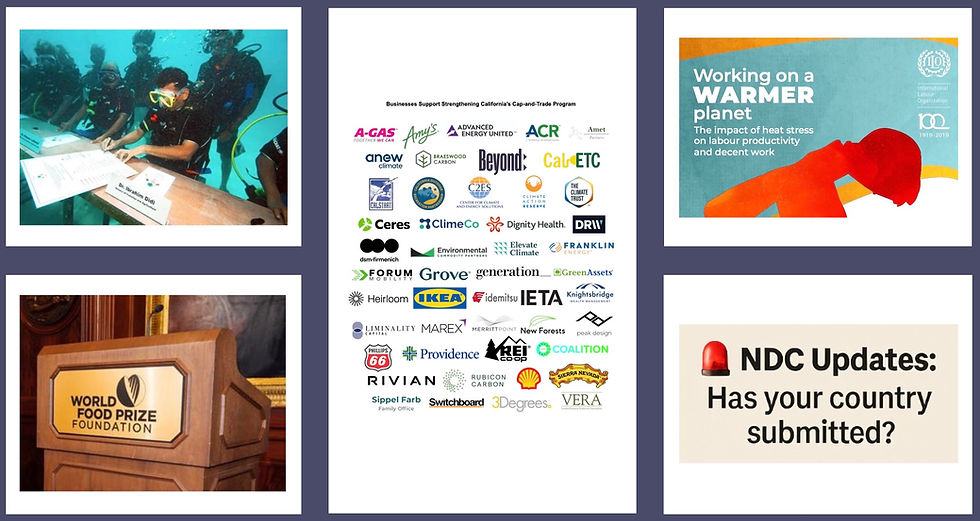 Destaques da 33ª semana Carbon Credit Markets 2025