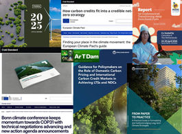28ª semana CCM 2026. Semana das certificadoras. Créditos de carbono, World Bank, Gold Standard, Verra; London Climate Week e combustíveis fósseis; Europa e seu papel cidadão.