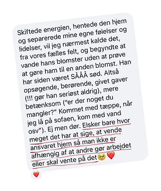 hjemmesideelementer (63).png