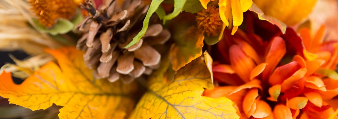 FallFoliage5.jpg