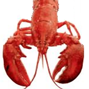 metroseafood-live logo