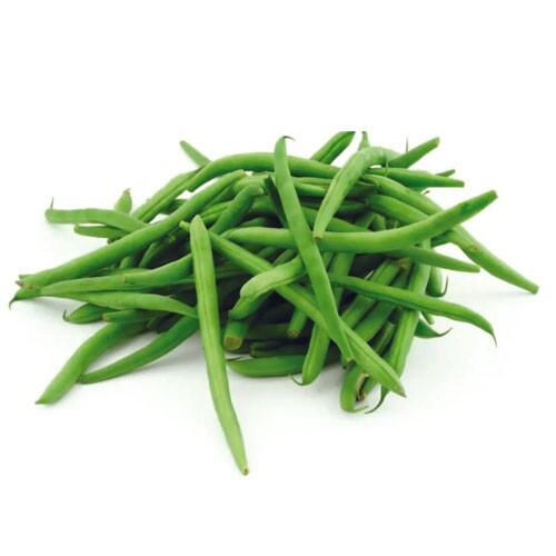 Veg Bush Beans