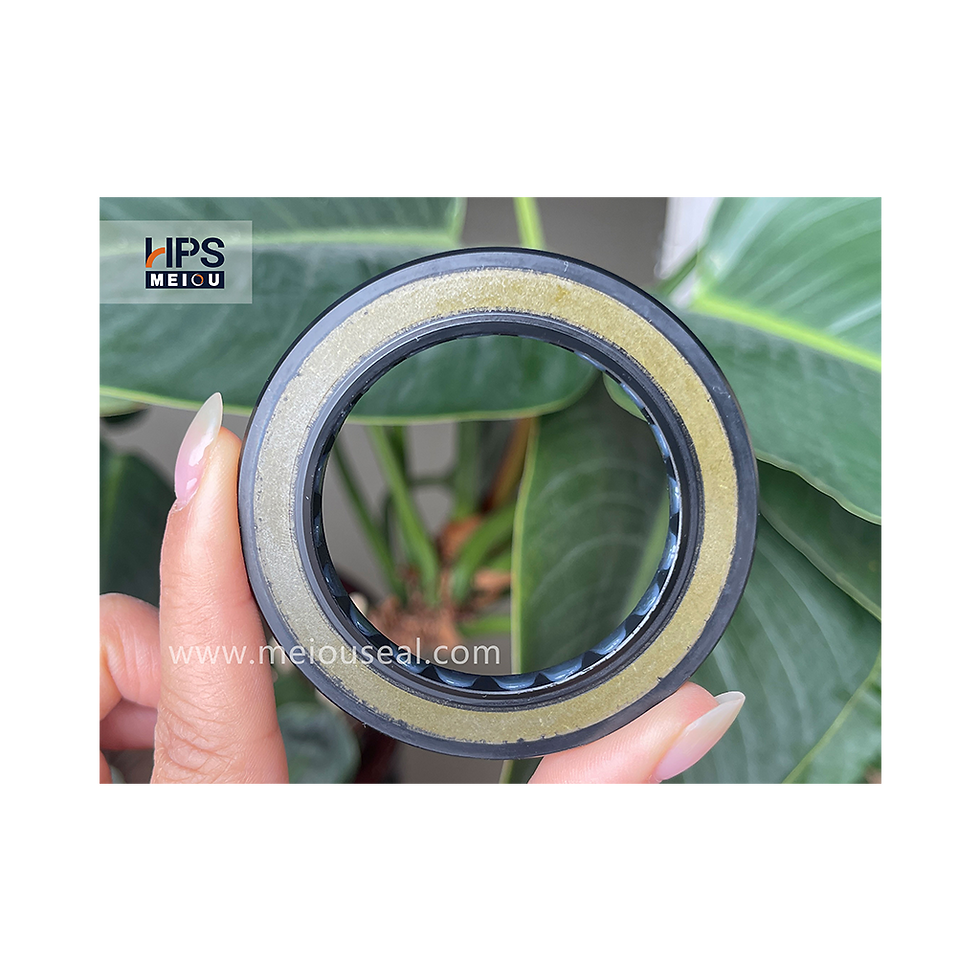 Miniatura: Hydraulic pump seal 50-72-8/6 NBR, BAHDSL1.5
