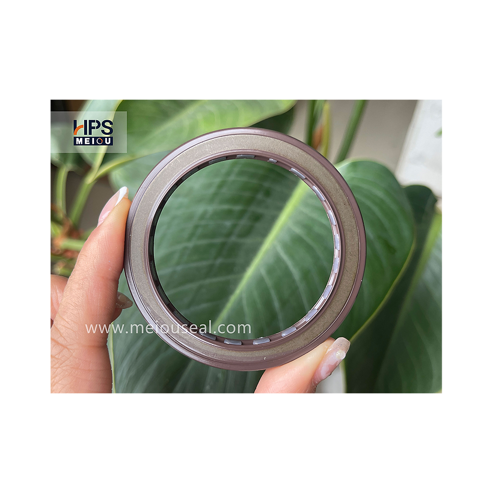 Miniatura: BAB3SL SEAL 55-70-7 VITON FOR A2F107,A11V130