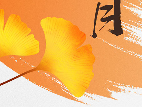 🍂 Hello September — Better Sealing, Less Leakage, More Reliable Operation with MEIOU HPS