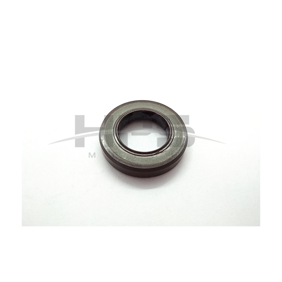 الصورة المصغرة: BABSL1SF 18*30*6 VITON, 9910251412