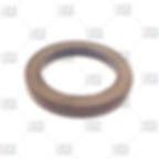 REXROTH A2FE56/63, BAFSL1SF SEAL 40*55*6/5.5 VITON