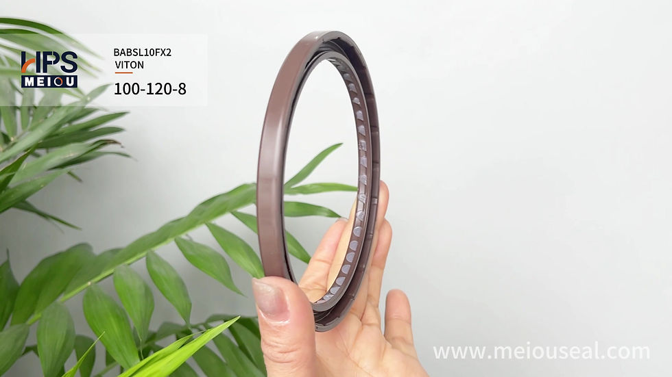 الصورة المصغرة: REXROTH A2F500 PISTON PUMP SHAFT SEAL,BABSL10FX2 100*120*8 VITON