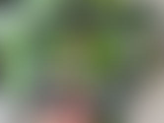 Why Agricultural Machinery Seal Problems Occur Easily