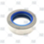 CARRARO 125944, COMBI SF6 SEAL 35*52*16 NBR+AU