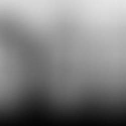 I Radiohead tornano! (a esibirsi)