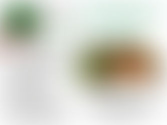 How BARLEY Helps with Almost All Kinds of ILLNESSES and DREADED DISEASES