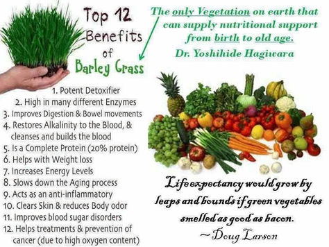 How BARLEY Helps with Almost All Kinds of ILLNESSES and DREADED DISEASES