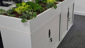 Everyones planting up their cupboards !