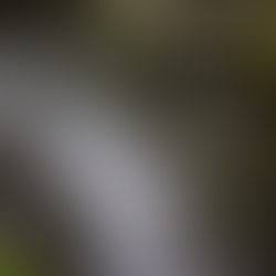 3月3日 ひな祭り