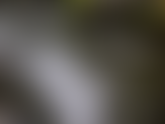 3月3日 ひな祭り