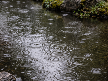 3月3日 ひな祭り