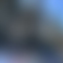 もみじ回復作業のお知らせ