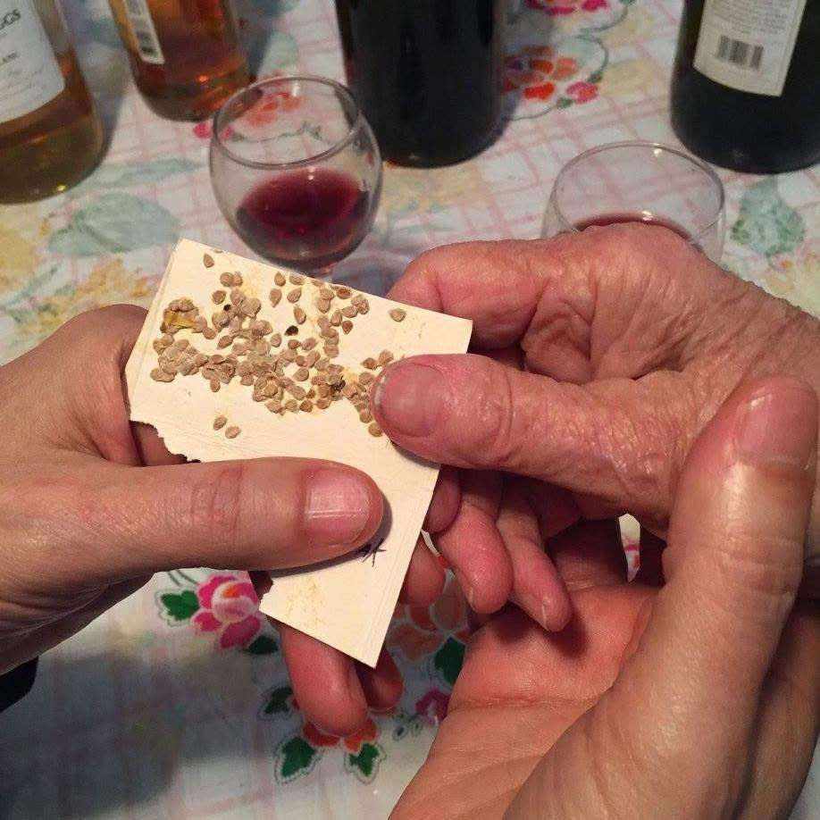 Tomato seeds—from mother to son.