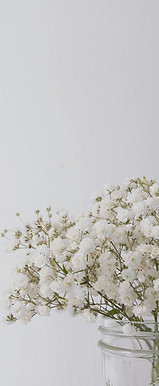 Ellie Social Media Marketing Corporate B