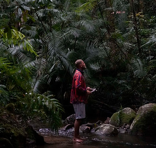 Aboriginal tour guide leading a cultural walk through the rainforest