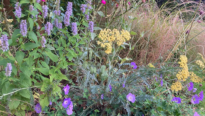 Border Design to create a naturalistic look for a new garden bed