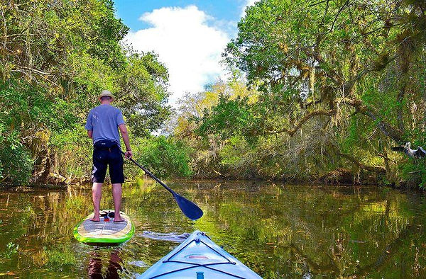 paddleboard