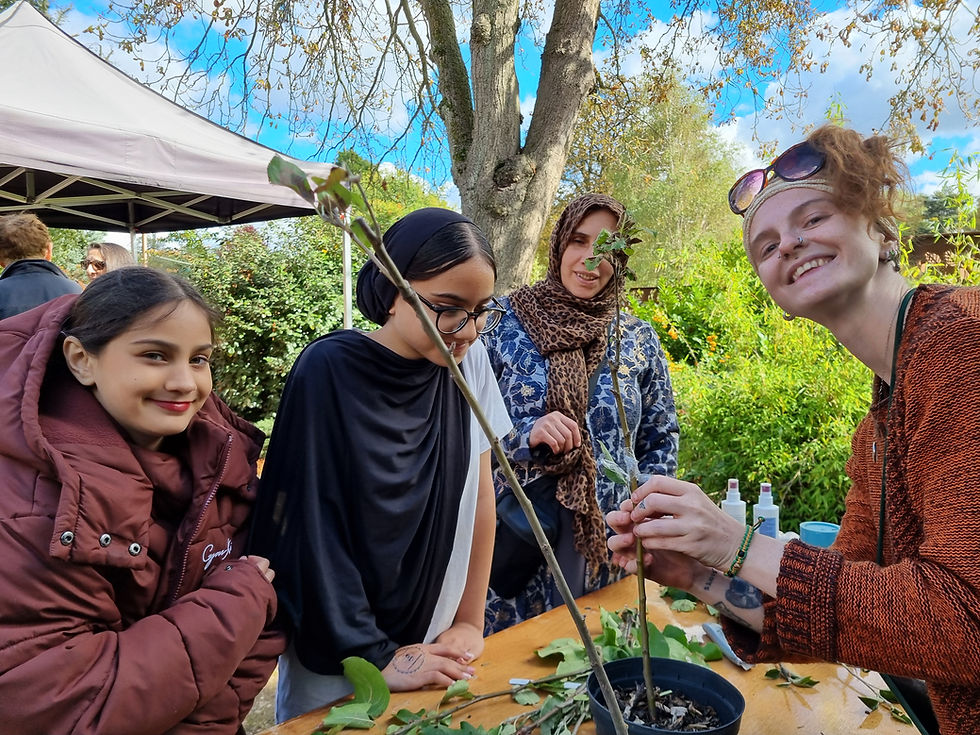 Plant Propagation Workshop @ Midlands Arts Centre