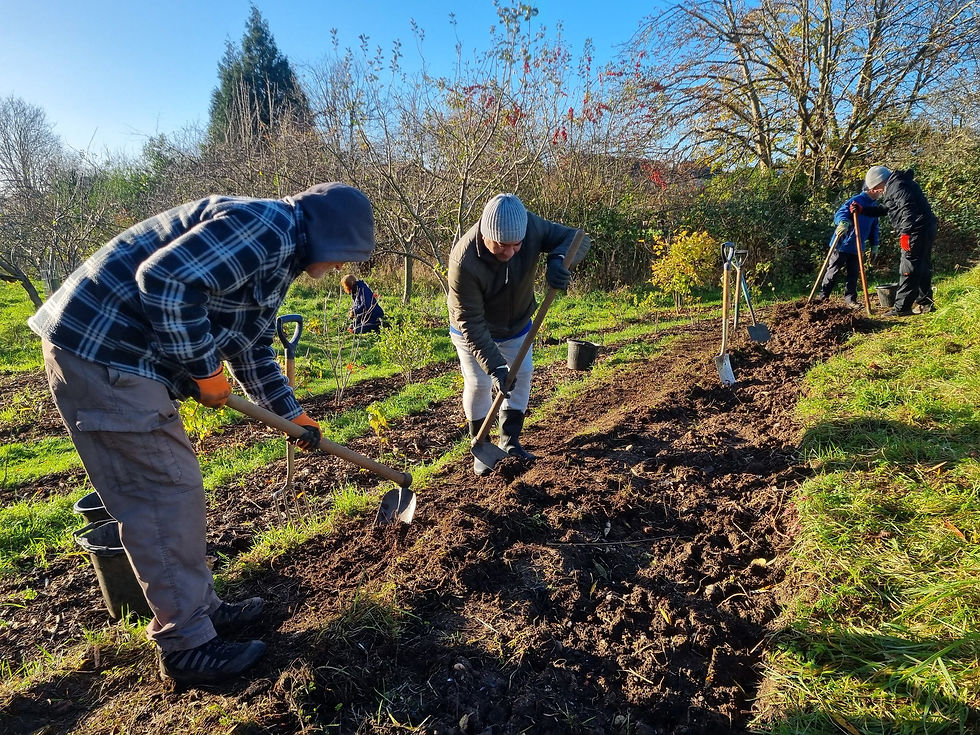 Start The Week @ Kingdom Forest Garden