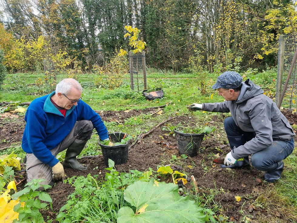 Cardboard Session @ Kingdom Forest Garden