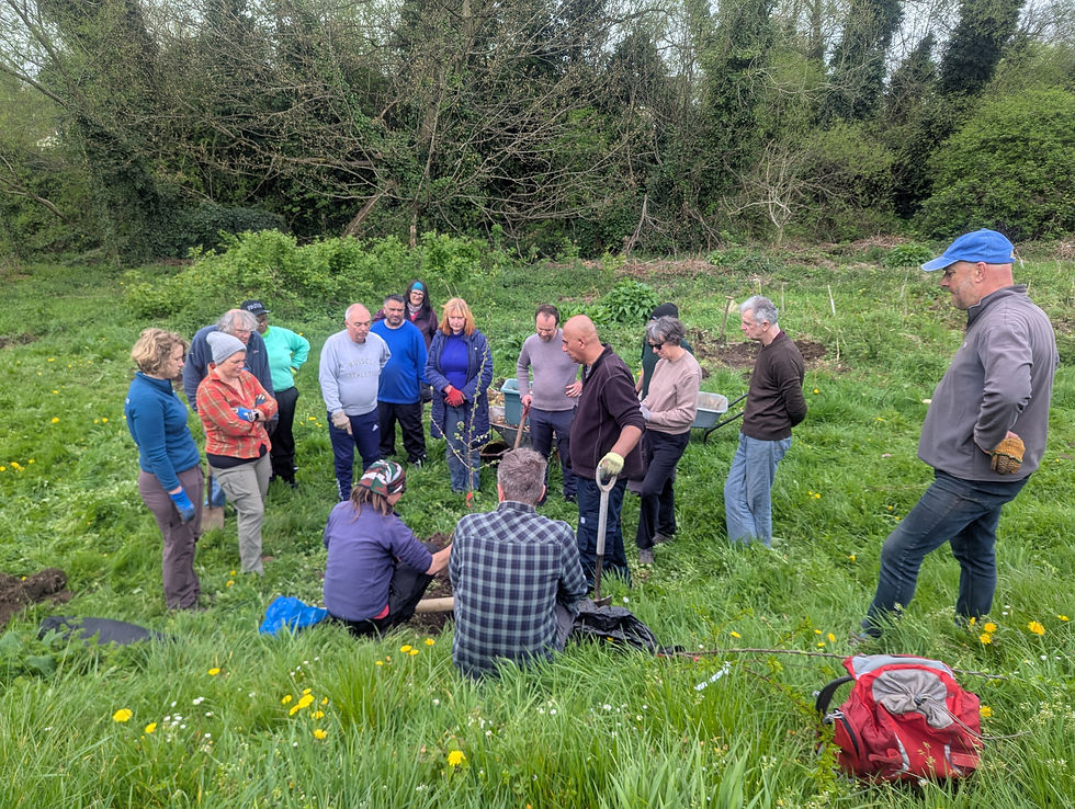 Fruit Tree Maintenance Session @ Harvest Green Orchard