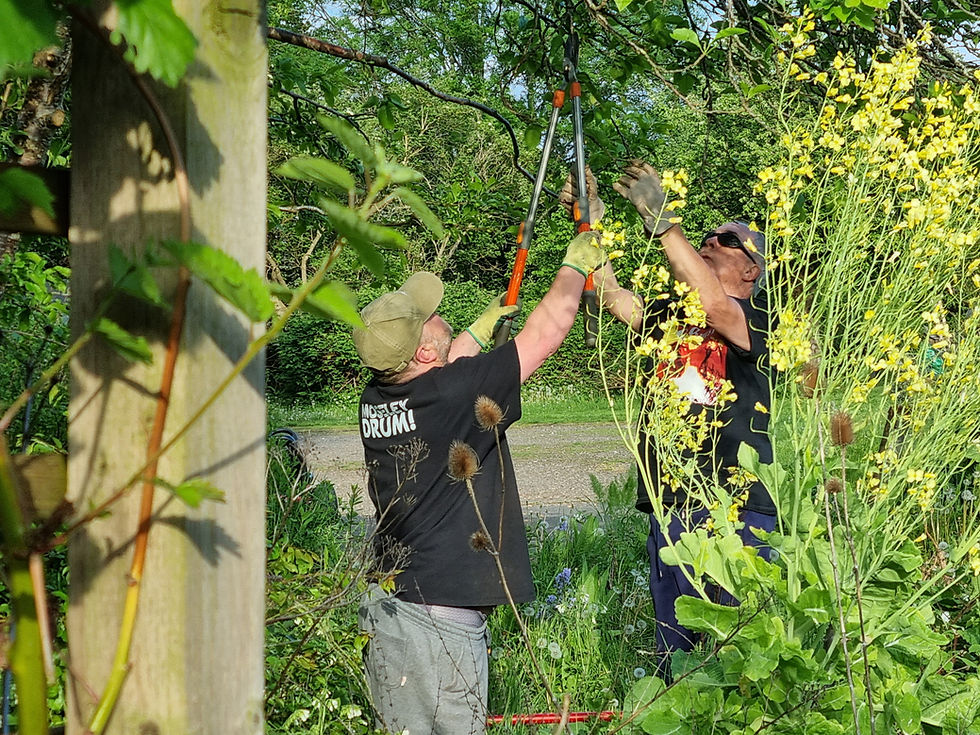 Forest Garden Care Session @ The People's Plot