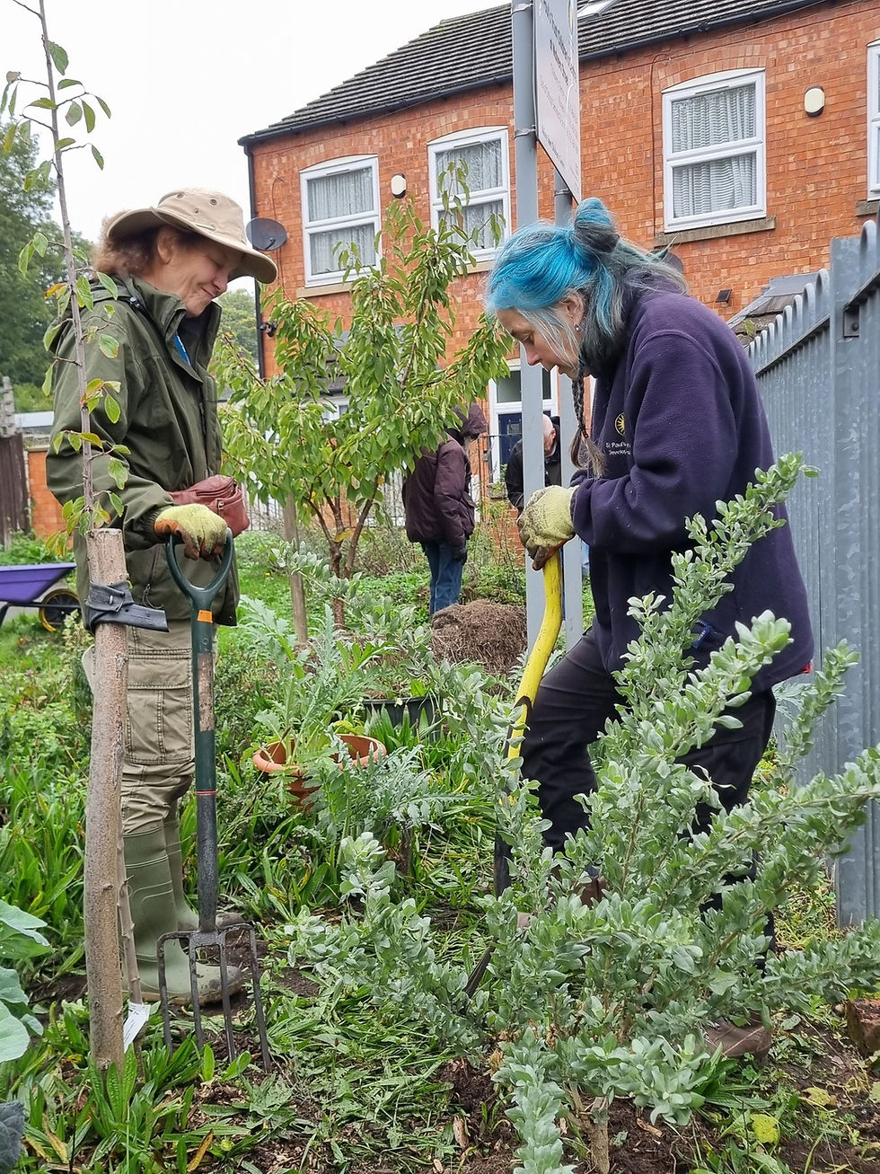 Winter Pruning Workshop @ Balsall Heath City Farm Forest Garden