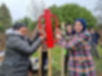 Planting a new orchard in Swanshurst Park, Billesley, with the Friends of Swanshurst Park, 23rd March 2025.