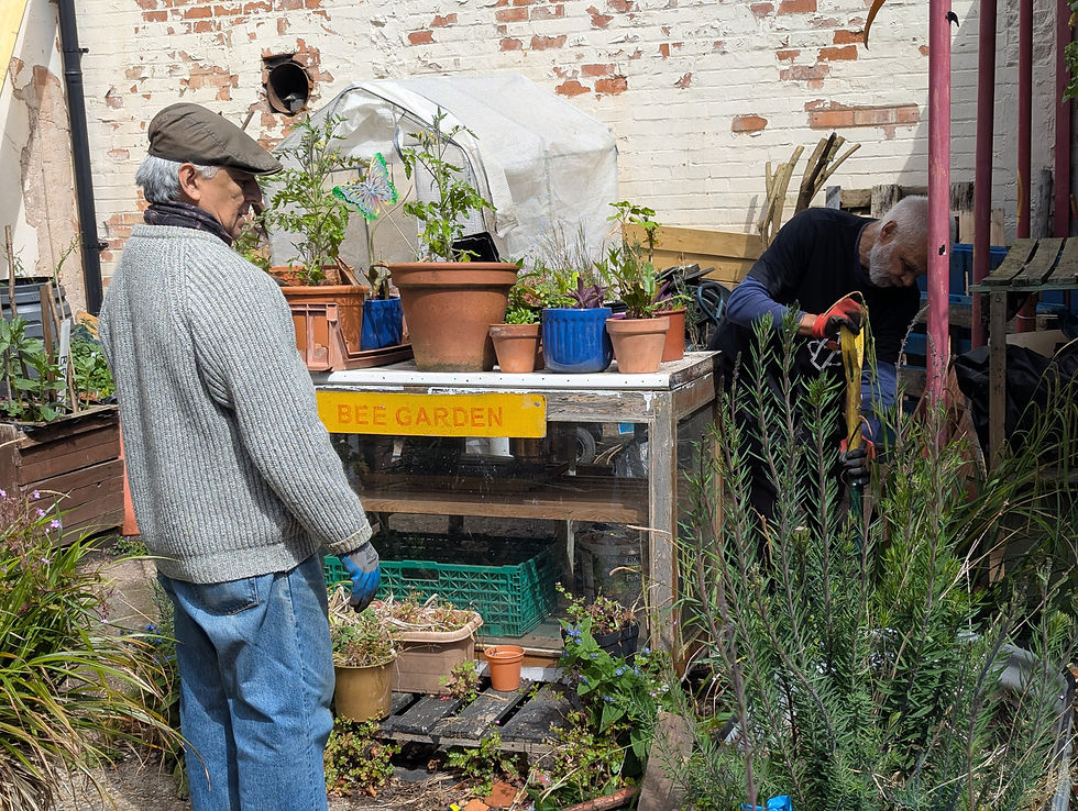 Forest Garden Planting Workshop @ Old Print Works Gardens
