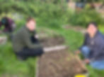 Forest Garden Care Session @ The People's Plot