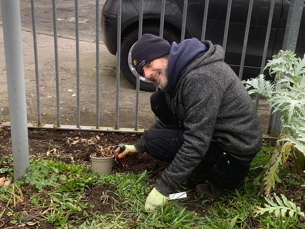 Forest Garden Care Session @ Balsall Heath City Farm Forest Garden
