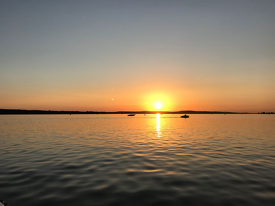 IMG_8546.jpeg
