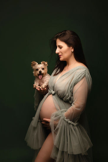 Mujer embarazada en sesión de fotos en estudio con su perro, vestida con un elegante vestido de tul