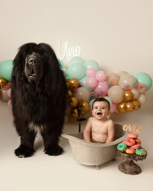 Sesión de Fotos Smash cake con tu mascota en Madrid