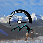 Revival Powersports - Turner Valley